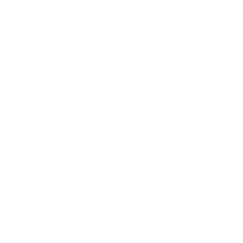 DOGGIE