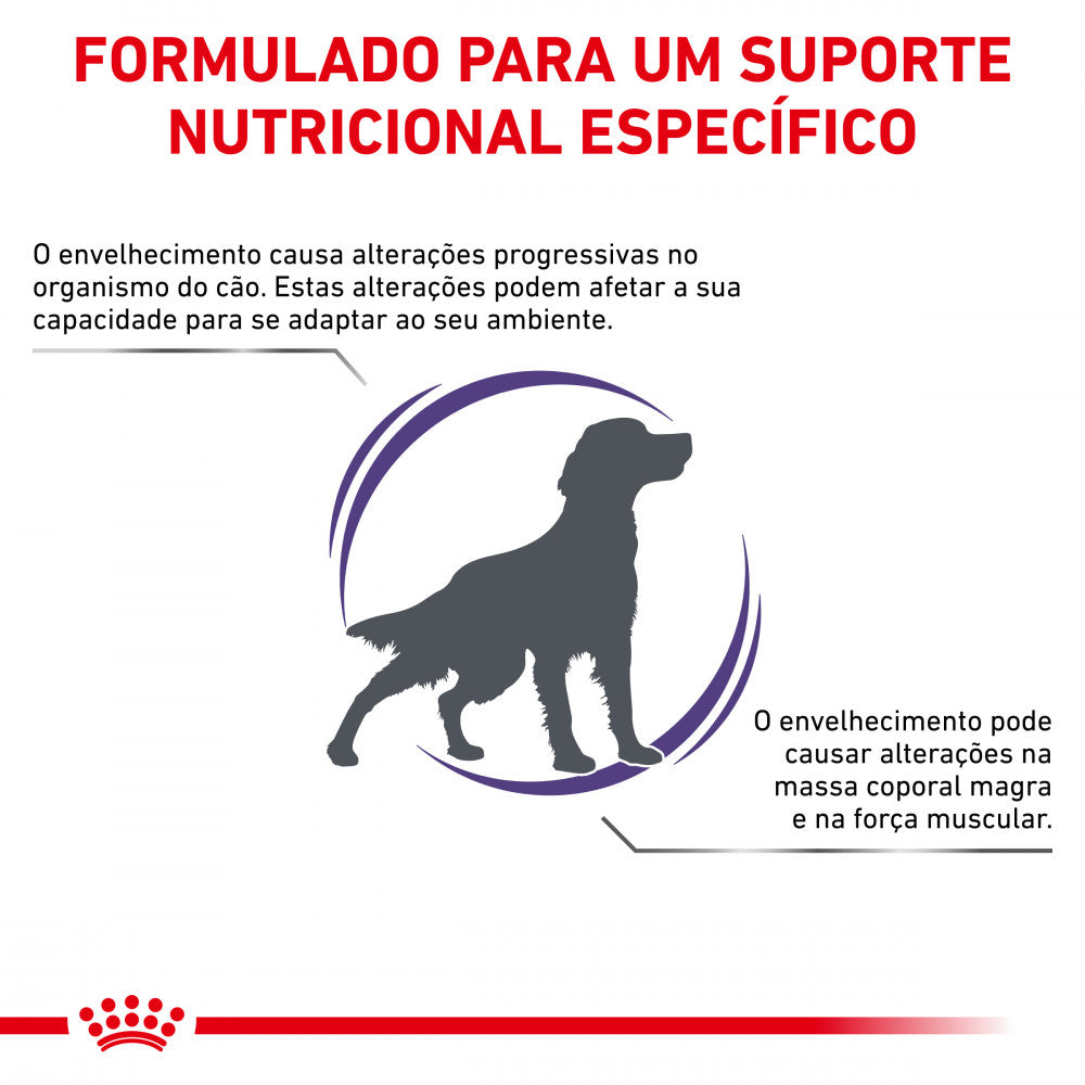 Royal Canin® Veterinary Mature Consult Medium Dogs – Ração para Cães Seniores de Porte Médio >  7 anos