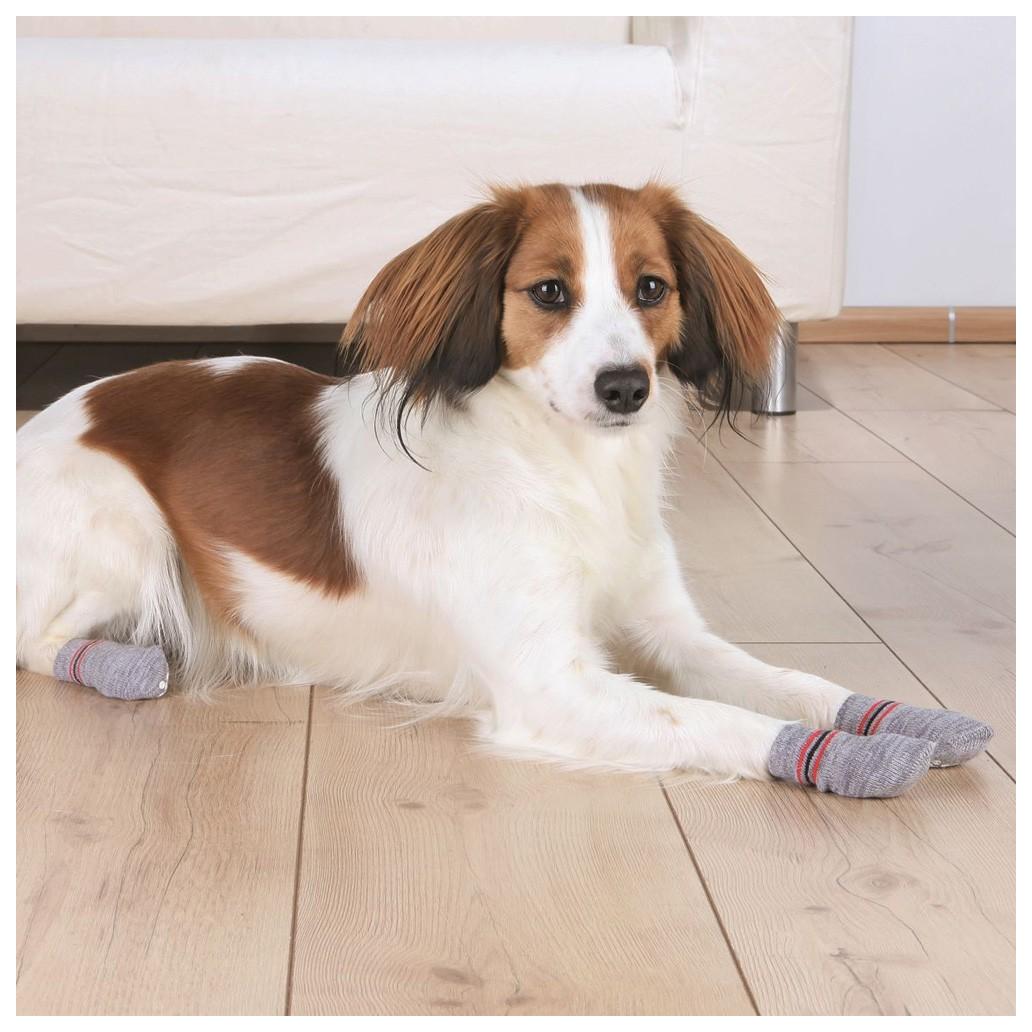 Meias Antiderrapantes para Cão – Cinza | Trixie