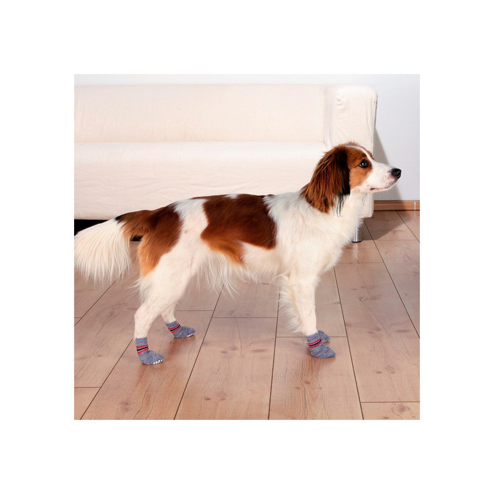 Meias Antiderrapantes para Cão – Cinza | Trixie