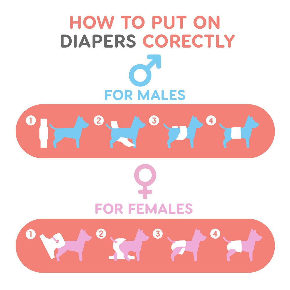 TRIXIE DISPOSABLE DIAPERS FOR MALE DOGS | 12 UNITS