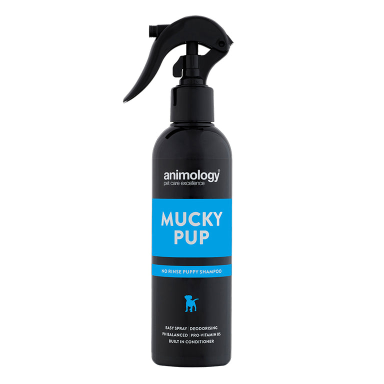 Animology Champô Seco Mucky Pup No Rinse para Cachorros | 250ml
