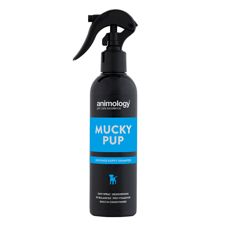 Animology Champô Seco Mucky Pup No Rinse para Cachorros | 250ml