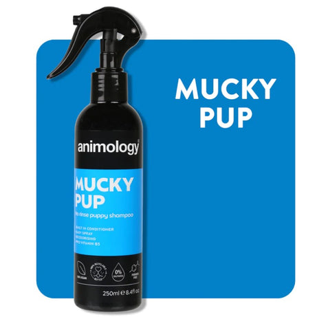 Animology Champô Seco Mucky Pup No Rinse para Cachorros | 250ml