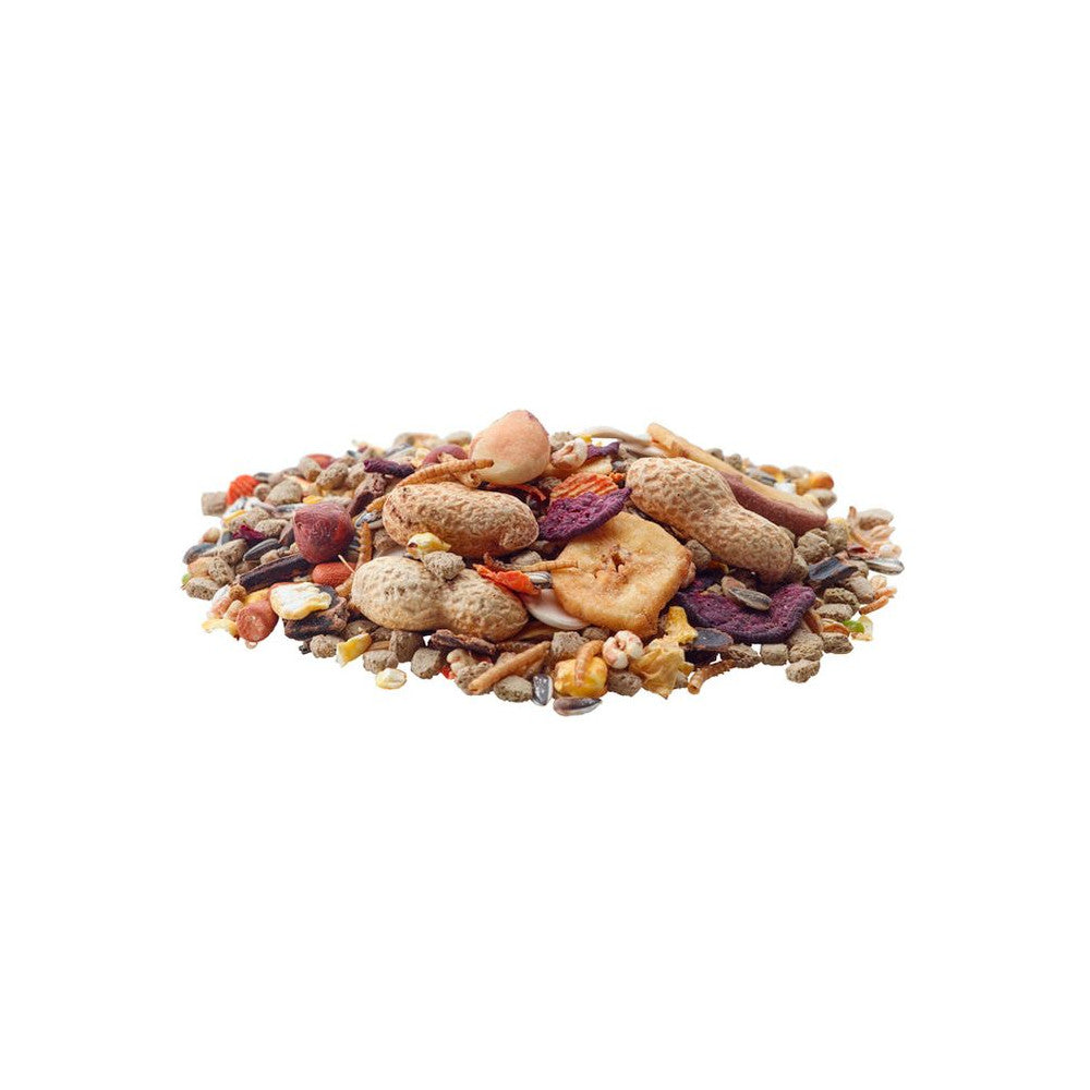 Nature Chip 700g