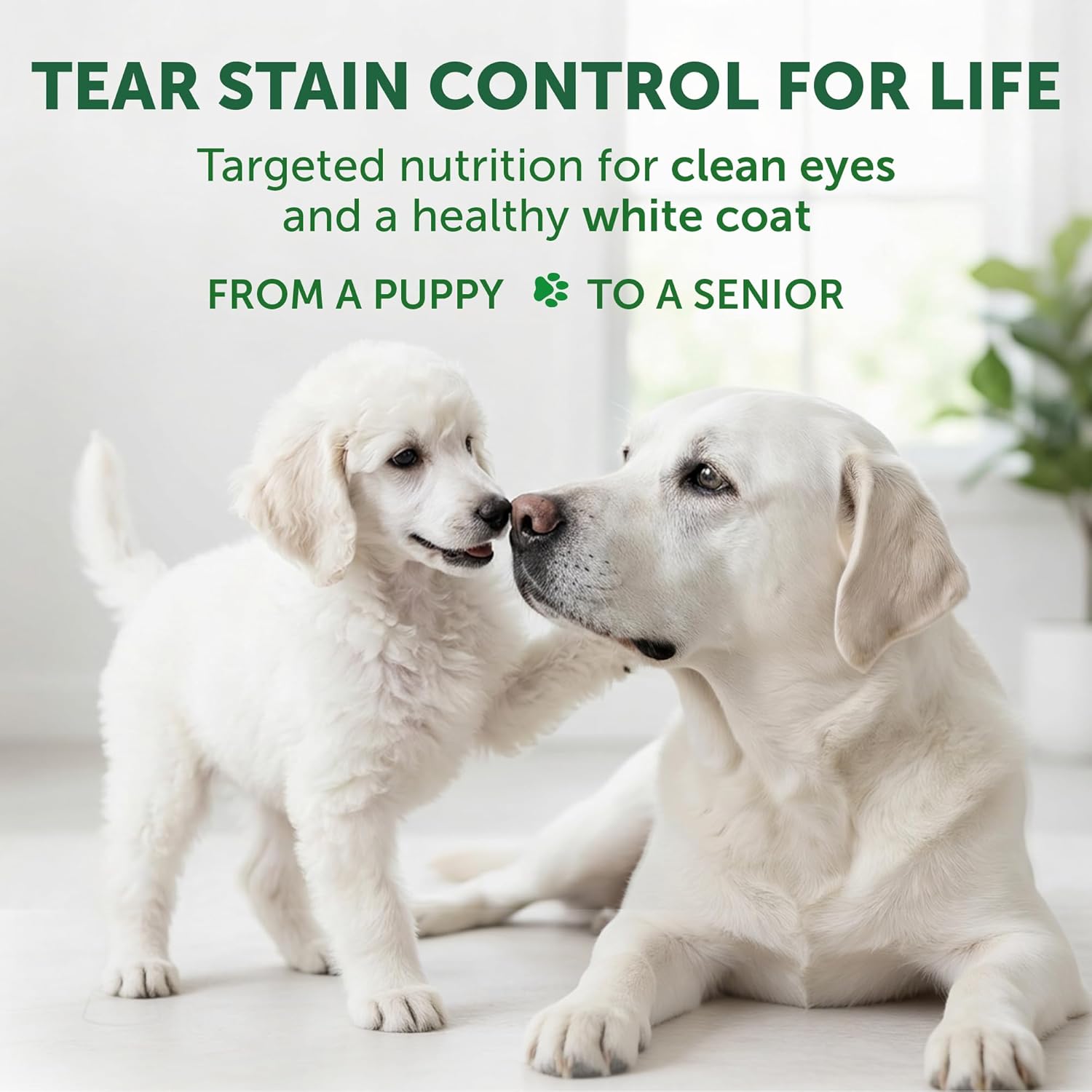 Nature’s Protection Superior Care para Cão Todos Tamanhos e Fases de Vida de pelo branco | Peixe Branco