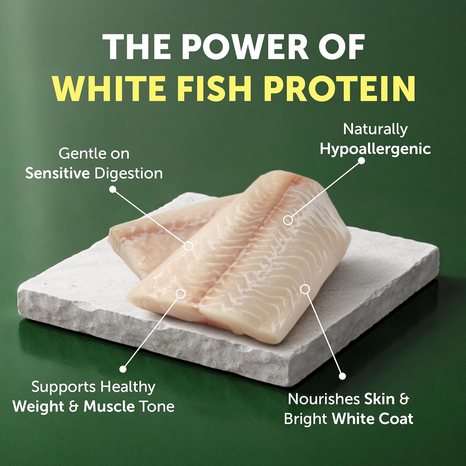 Nature’s Protection Superior Care para Cão Todos Tamanhos e Fases de Vida de pelo branco | Peixe Branco
