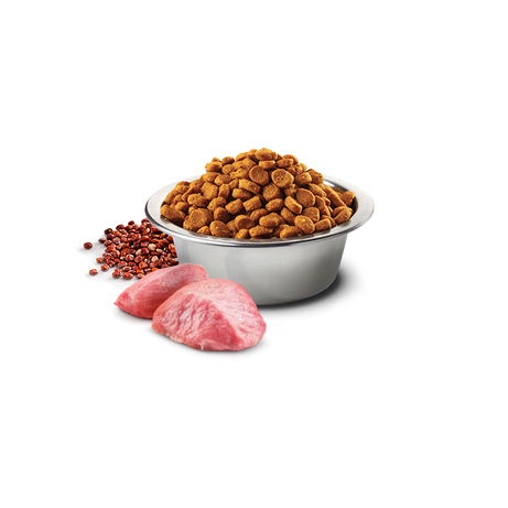 Farmina N&D Dog Quinoa Digestion Mini 2,5Kg - Ração seca para cão adulto de porte pequeno com sensibilidade digestiva - Cordeiro