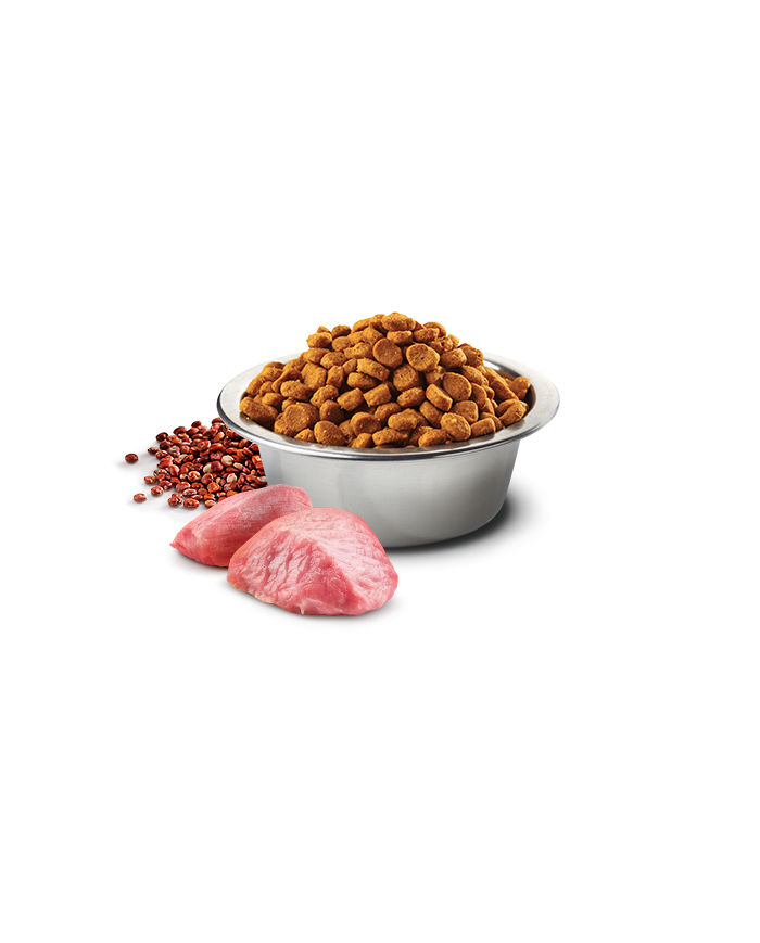 Farmina N&D Dog Quinoa Digestion Mini 2,5Kg - Ração seca para cão adulto de porte pequeno com sensibilidade digestiva - Cordeiro
