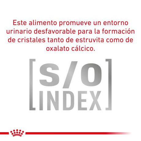 Royal Canin® Neutered Balance – Alimento Húmido para Gatos Esterilizados ou com Tendência para o Excesso de Peso até aos 7 Anos