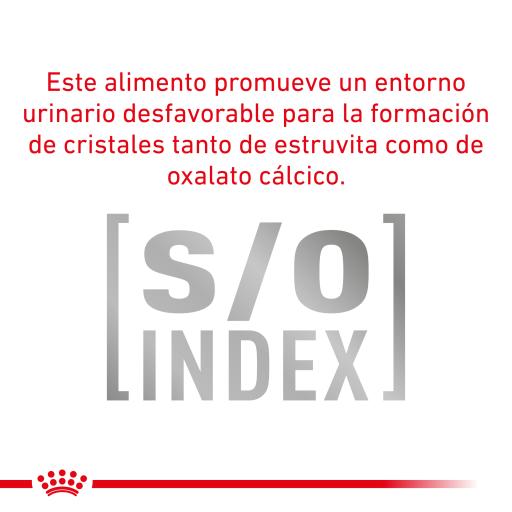 Royal Canin® Neutered Balance – Alimento Húmido para Gatos Esterilizados ou com Tendência para o Excesso de Peso até aos 7 Anos