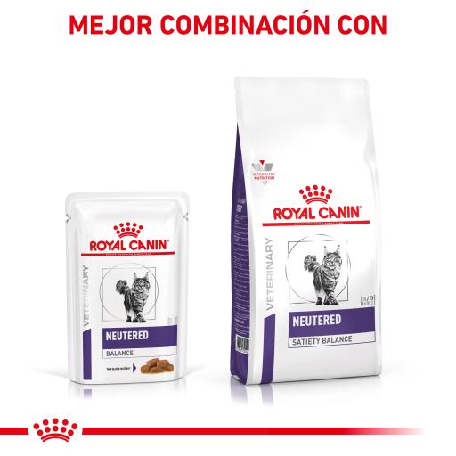 Royal Canin® Neutered Balance – Alimento Húmido para Gatos Esterilizados ou com Tendência para o Excesso de Peso até aos 7 Anos