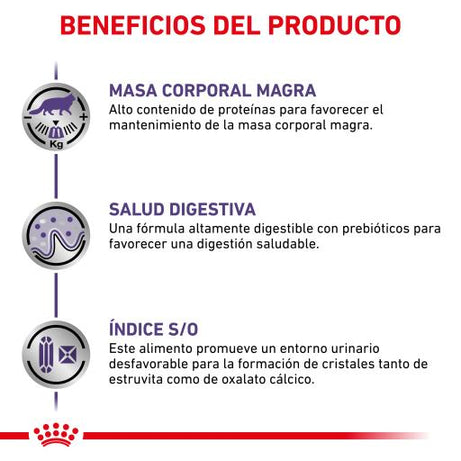 Royal Canin® Neutered Maintenance – Alimento Húmido para Gatos Esterilizados até aos 7 Anos