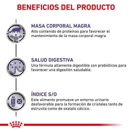 Royal Canin® Neutered Maintenance – Alimento Húmido para Gatos Esterilizados até aos 7 Anos
