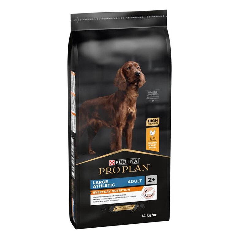 Pro Plan Dog OptiBalance Large Athletic Adult Chicken | 14 Kg - Ração seca para cão adulto de porte grande e atlético - Frango