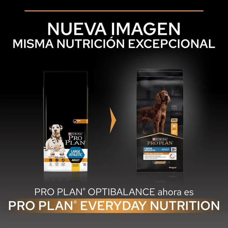Pro Plan Dog OptiBalance Large Athletic Adult Chicken | 14 Kg - Ração seca para cão adulto de porte grande e atlético - Frango