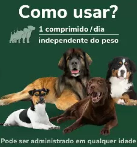 Omnicondro PROrapid - 60 Comprimidos - Apoio das articulações dos cães