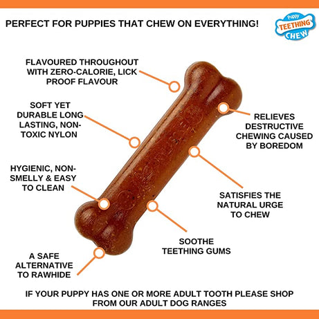 Osso de Mastigação Nylabone Original para Cachorros (S)