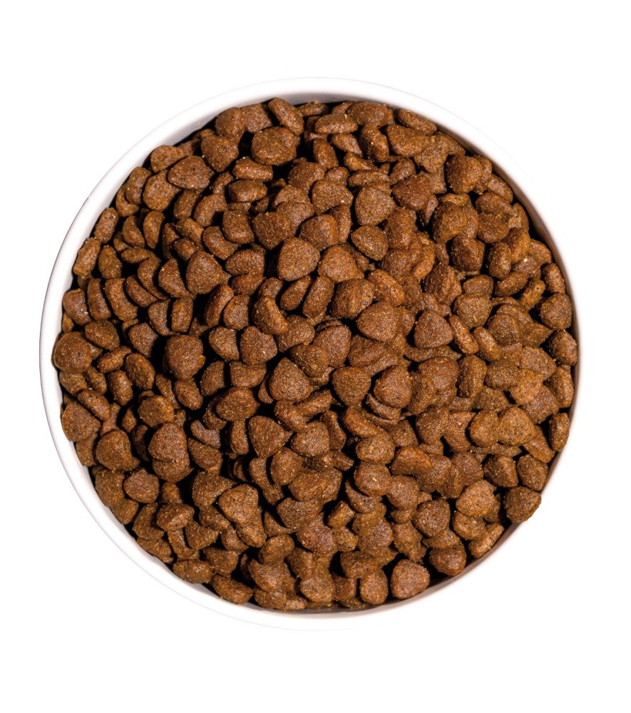 Ownat Classic Kitten -  Ração seca para gatinho - Frango