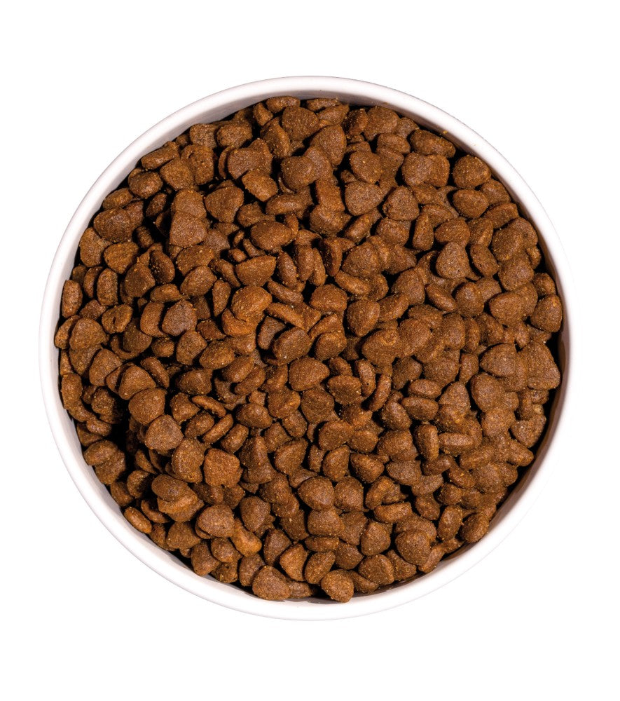 Ownat Just GF Adult Cat - Grain-free dry food for adult cats - Chicken