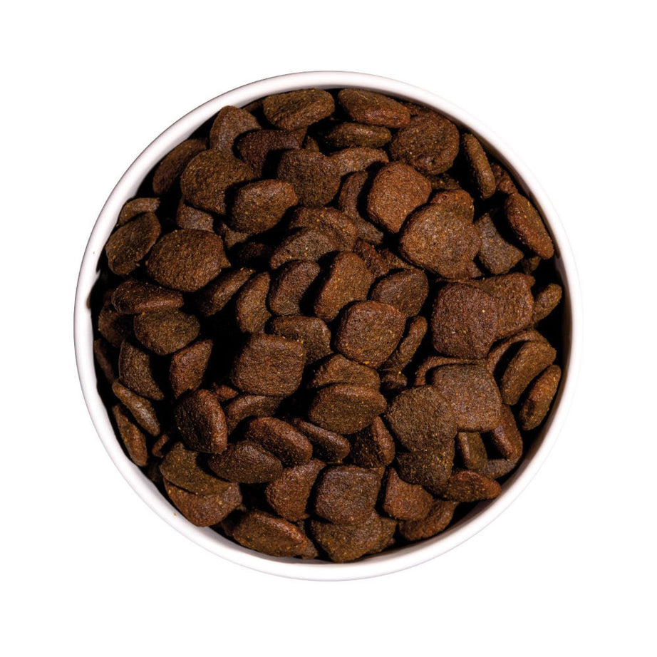 Ownat GF Hypo Salmon - Dry food for adult dogs with allergies - Salmon