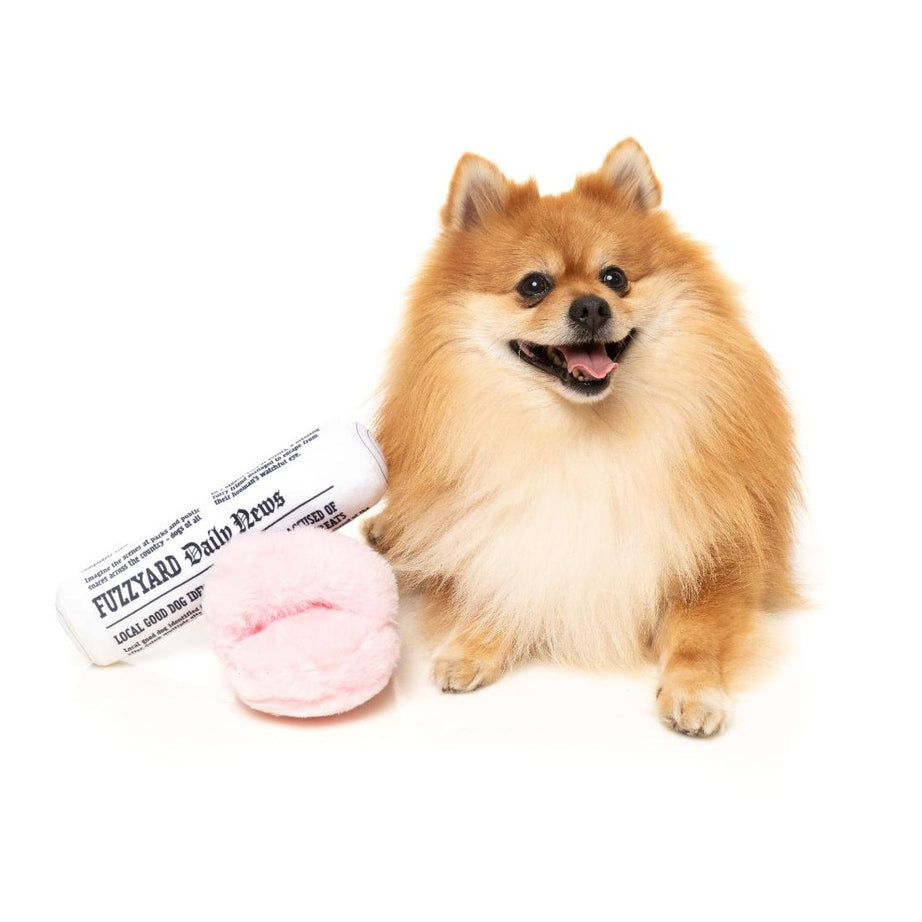Brinquedo para Cão FuzzYard - Perfect Match - Fetch My Slippers & Paper 2Pk