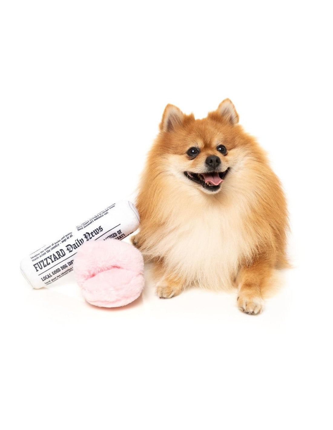 Brinquedo para Cão FuzzYard - Perfect Match - Fetch My Slippers & Paper 2Pk