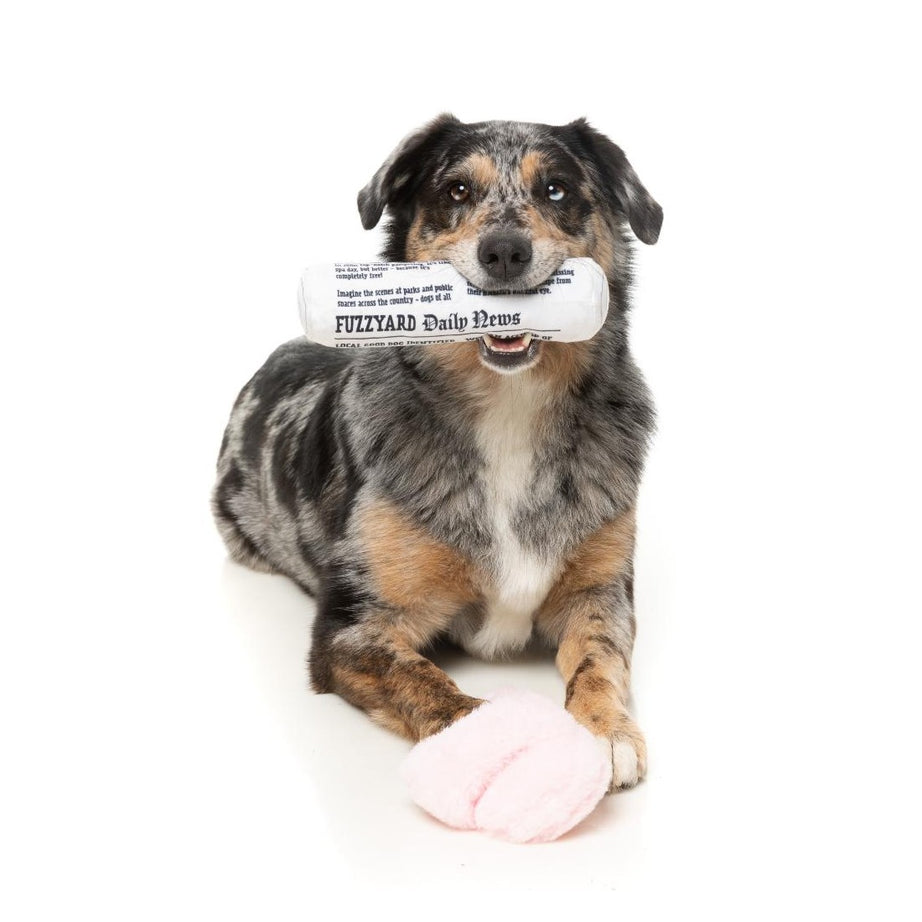 Brinquedo para Cão FuzzYard - Perfect Match - Fetch My Slippers & Paper 2Pk