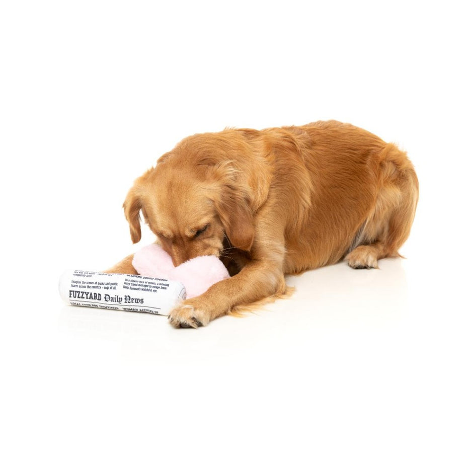Brinquedo para Cão FuzzYard - Perfect Match - Fetch My Slippers & Paper 2Pk