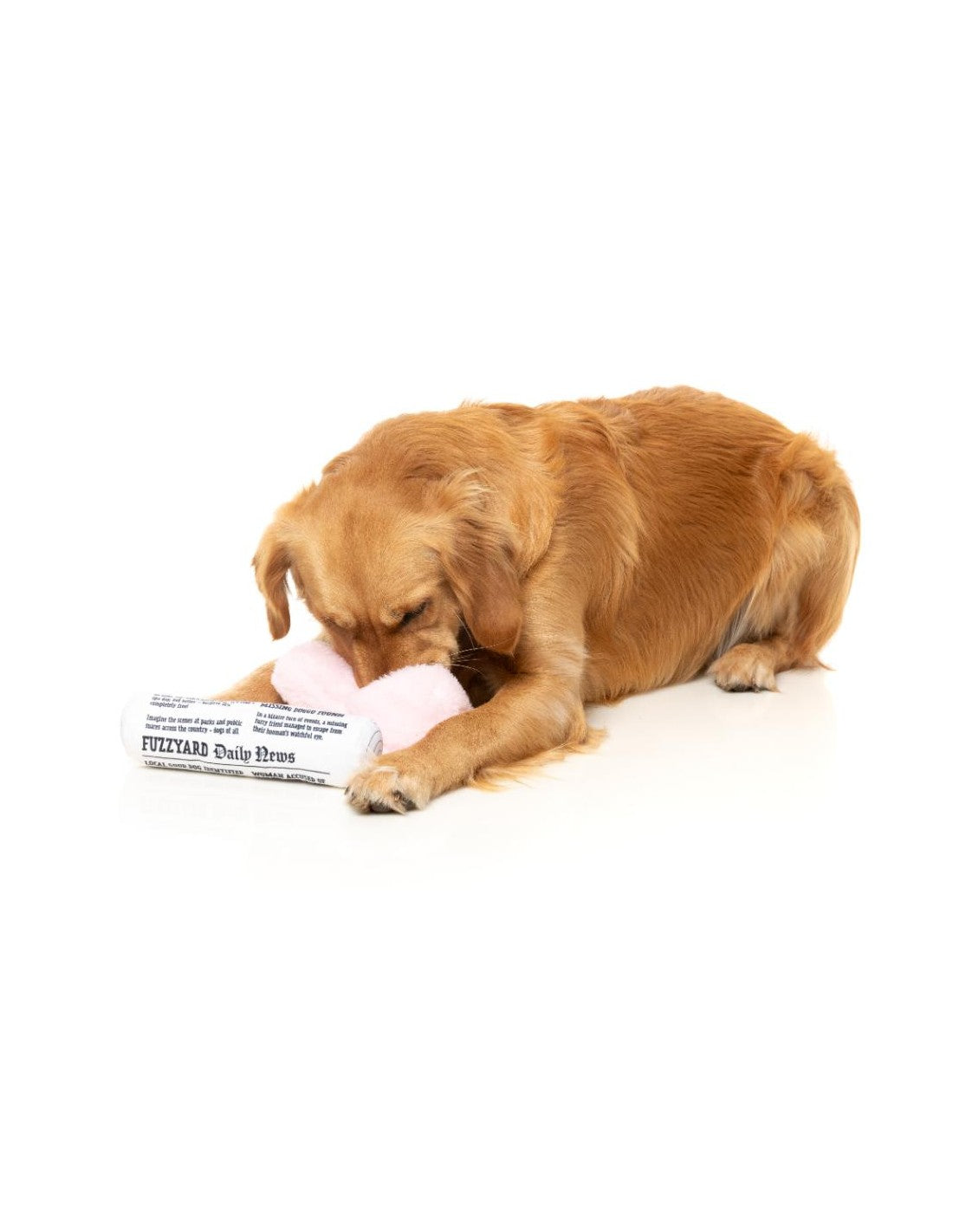 Brinquedo para Cão FuzzYard - Perfect Match - Fetch My Slippers & Paper 2Pk