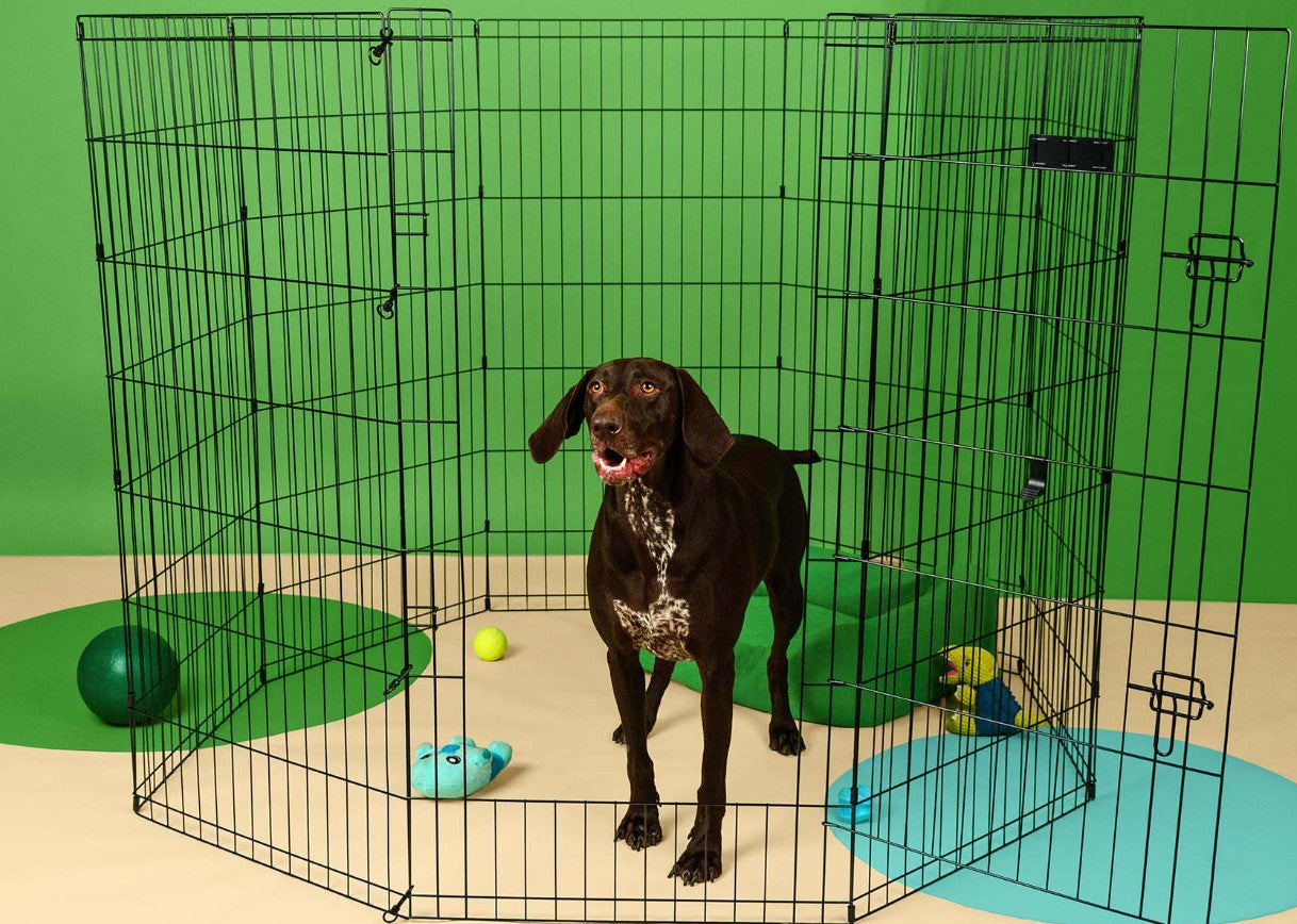 Parque Metálico Dobrável para Cães - Dashi Dog Play Pen