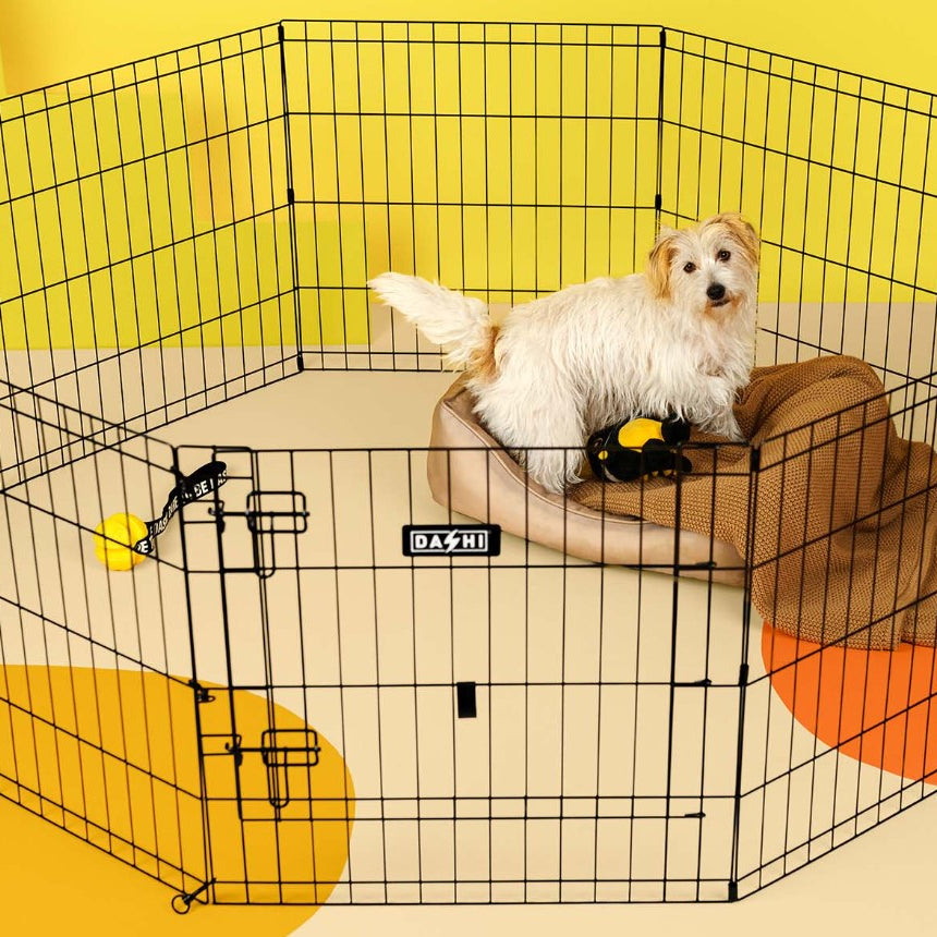 Parque Metálico Dobrável para Cães - Dashi Dog Play Pen