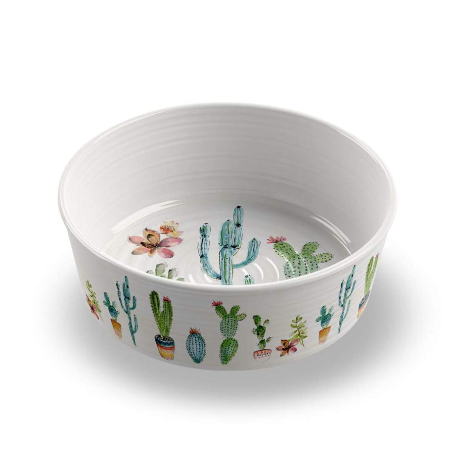 TH COMEDOURO CACTUS