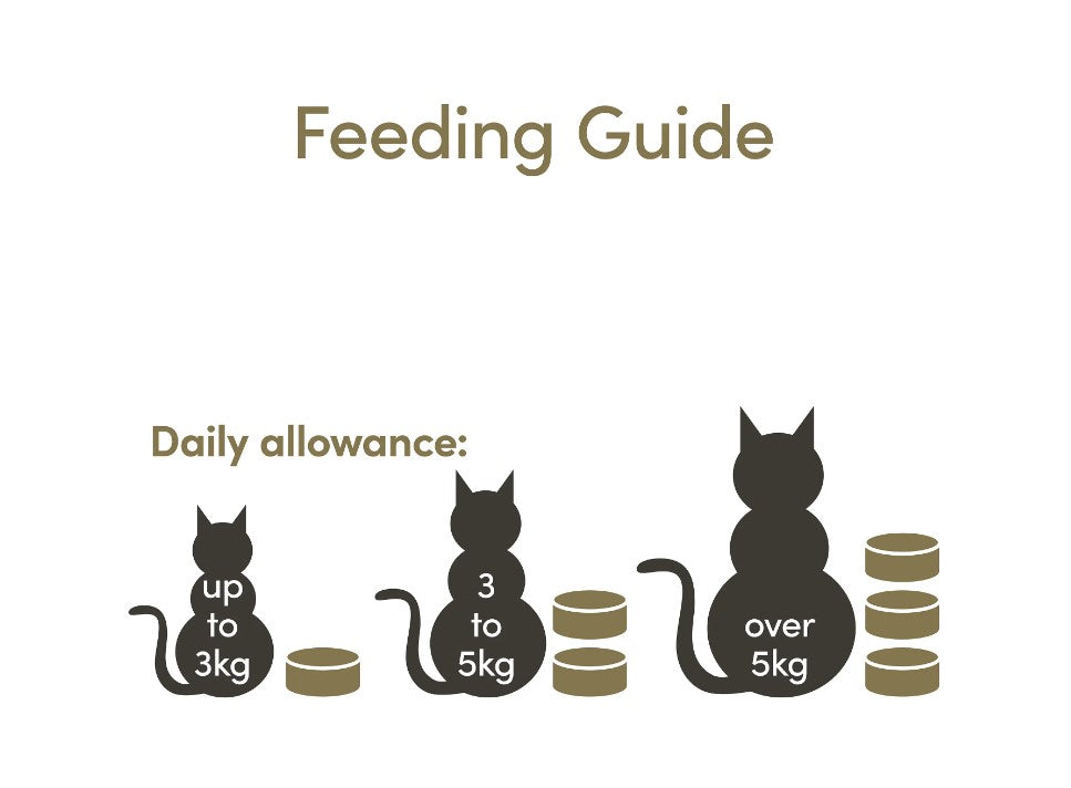 Applaws - Ração húmida para gatos | Filete de Atum com queijo