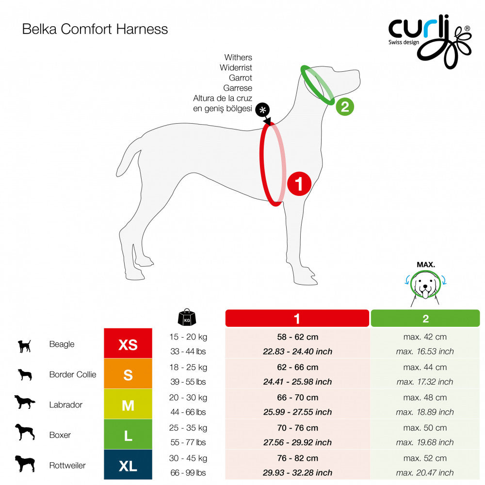 CURLI PEITORAL BELKA COMFORT - DOGGIE STORE