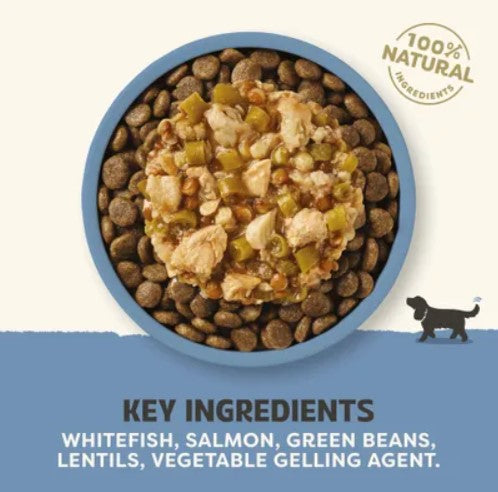 Applaws Taste Toppers in Gravy - 85g Pouch | Whitefish with Salmon, Green Beans and Lentils
