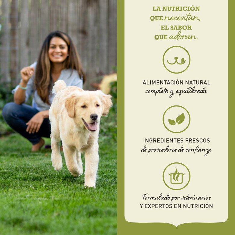 Acana Dog Adult