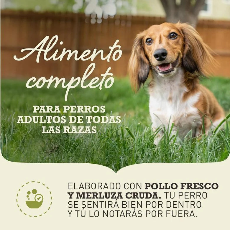 Acana Dog Adult