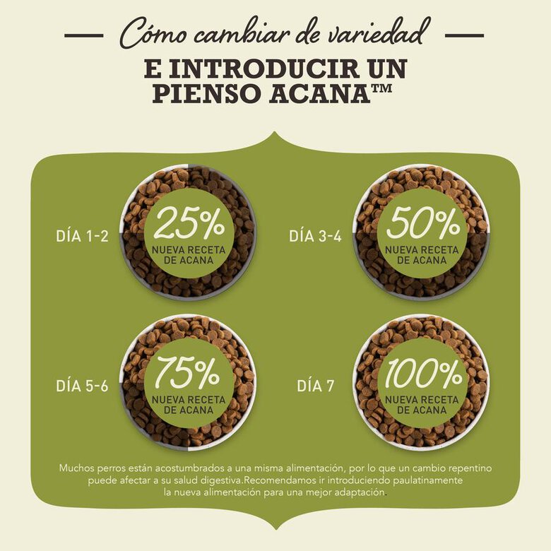 Acana Dog Adult