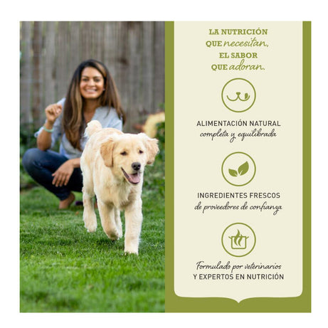 Acana Dog Puppy Large Breed