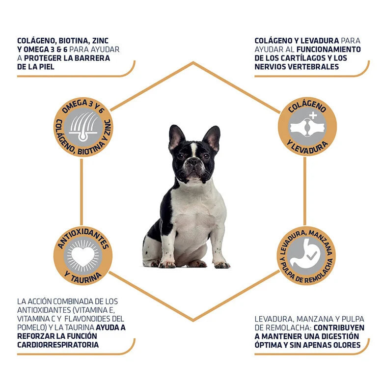 Advance Ração Cão Adulto  - Bulldog Francês | Pato e Arroz | 7,5 kg - DOGGIE STORE