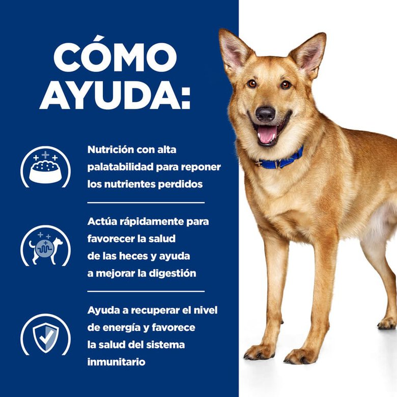 Hills Prescription Diet l/d Canine 12 kg