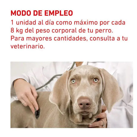 Royal Canin® Pill Assist Medium & Large Dog – Snack para Administrar Comprimidos a Cães >10 kg | 224 g