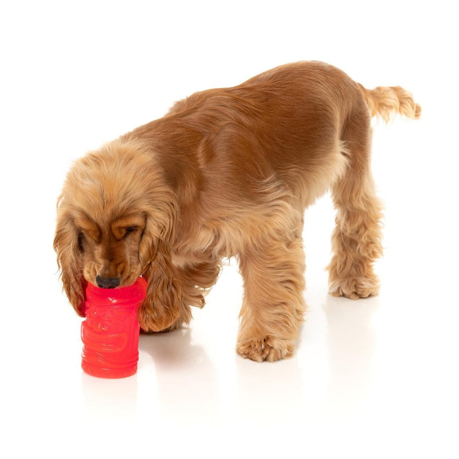 Brinquedo Interativo Congelável para Cão – FuzzYard Pina Coolada Freeze