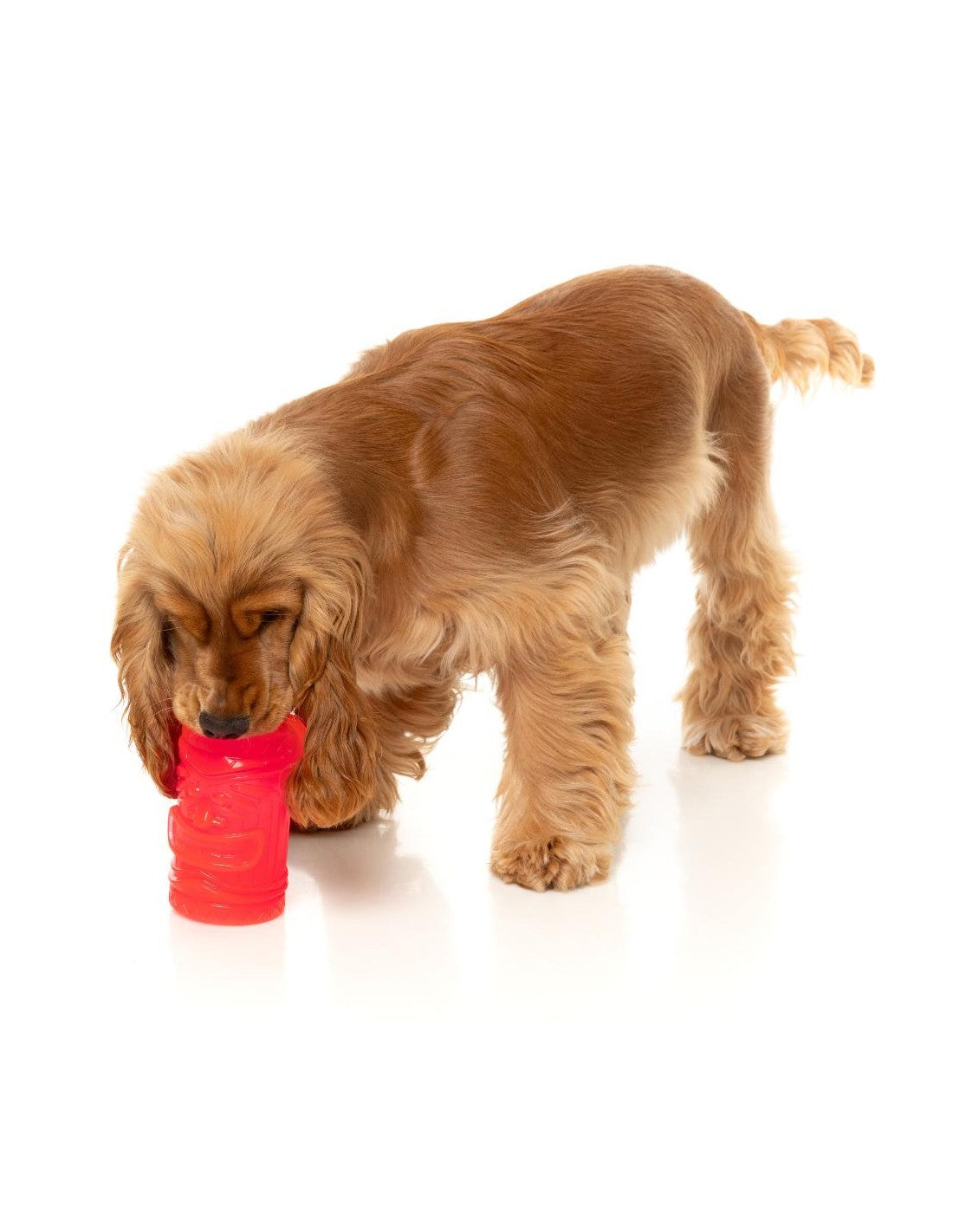 Brinquedo Interativo Congelável para Cão – FuzzYard Pina Coolada Freeze