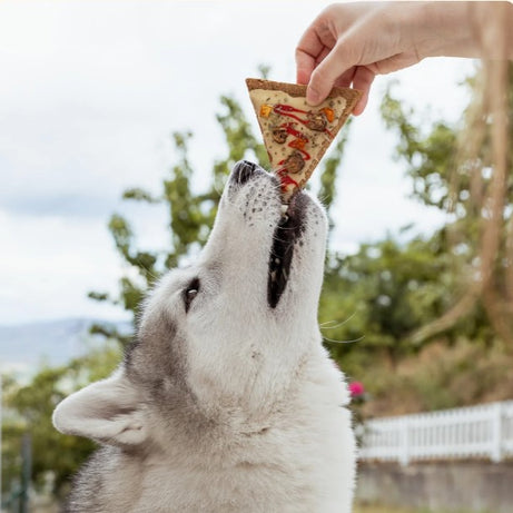 Doggie Pizza