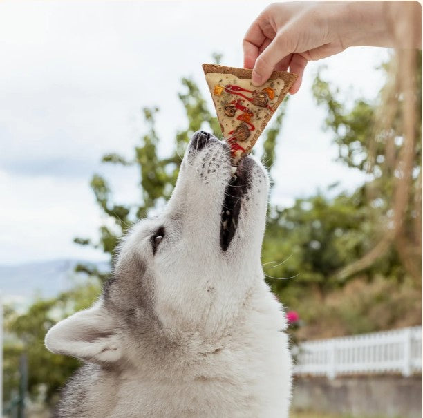 Doggie Pizza