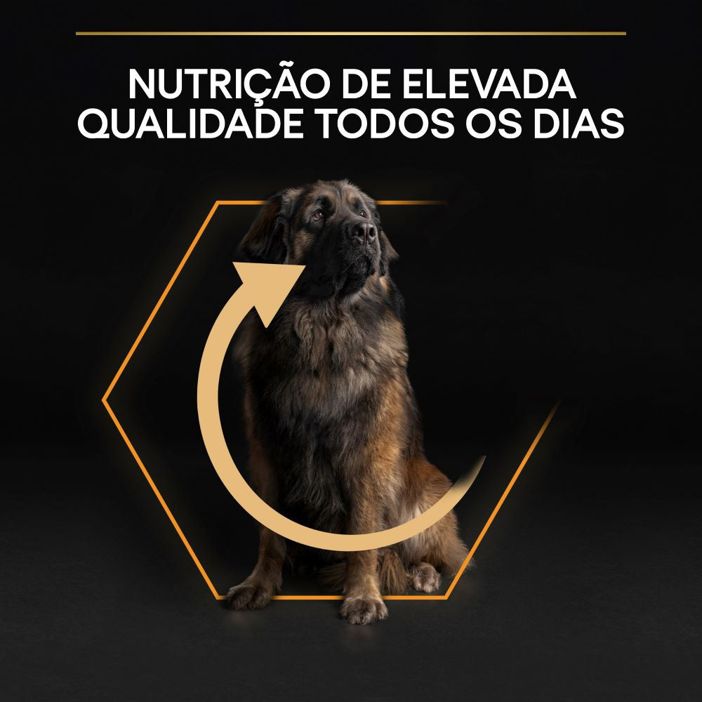 Pro Plan Dog OptiBalance Large Robust Adult Chicken | 14 Kg - Ração seca para cães adultos de porte grande e robusto - Frango