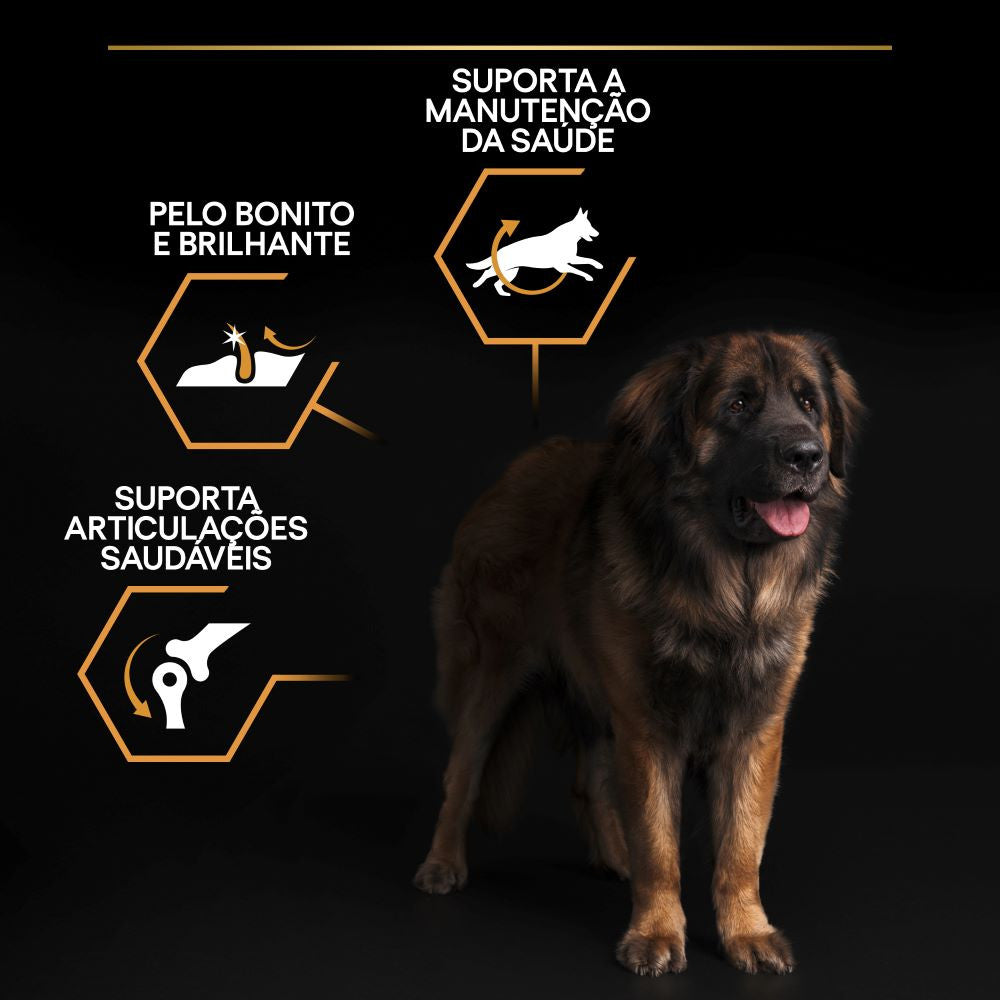 Pro Plan Dog OptiBalance Large Robust Adult Chicken | 14 Kg - Ração seca para cães adultos de porte grande e robusto - Frango