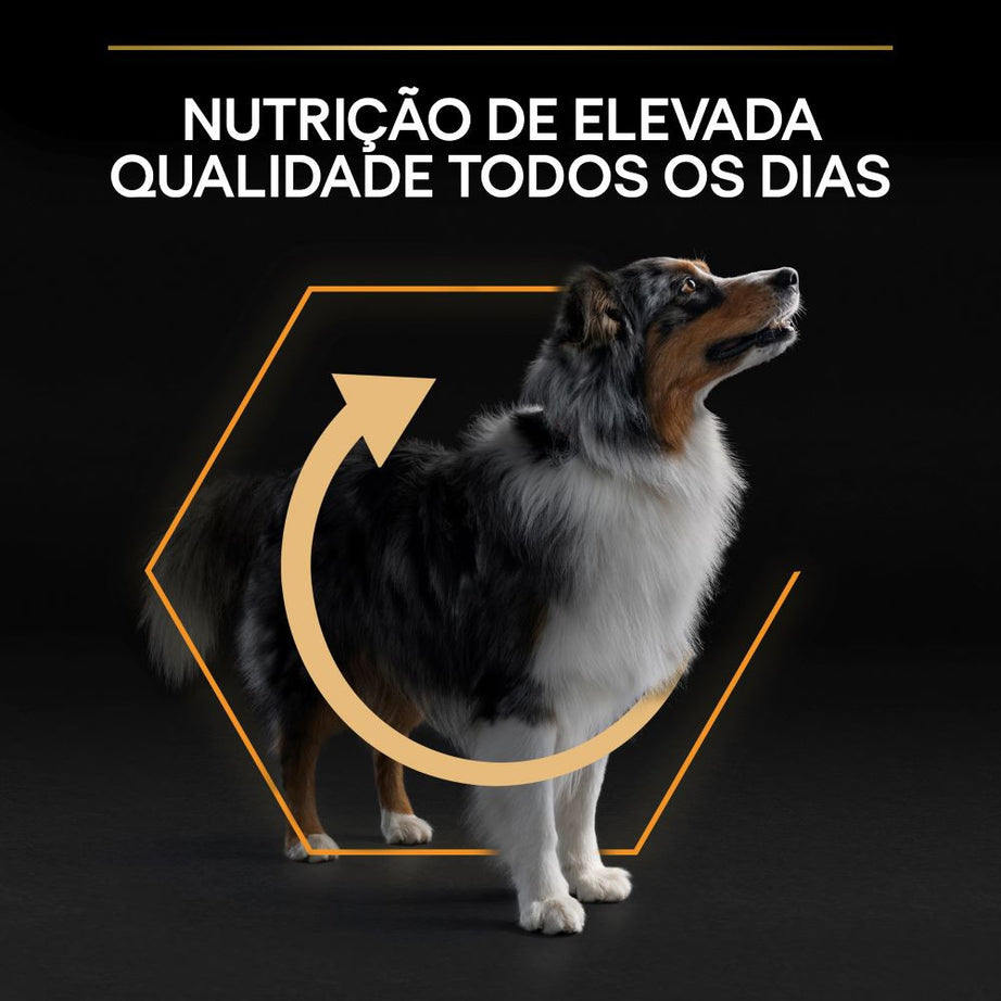 Pro Plan Everyday Nutrition Medium Adult Chicken